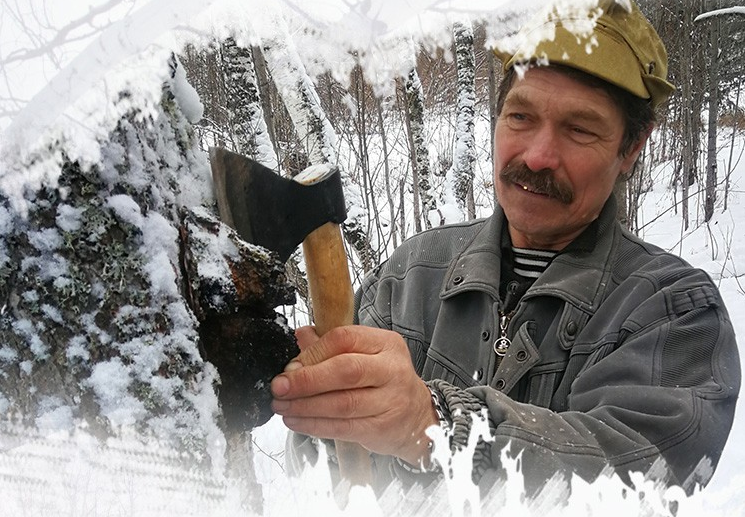 白桦茸种植与采摘全攻略：从源头了解珍品