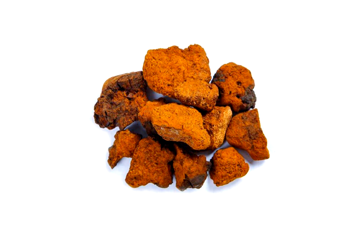 白桦茸的搭配智慧：与其他食材的巧妙结合