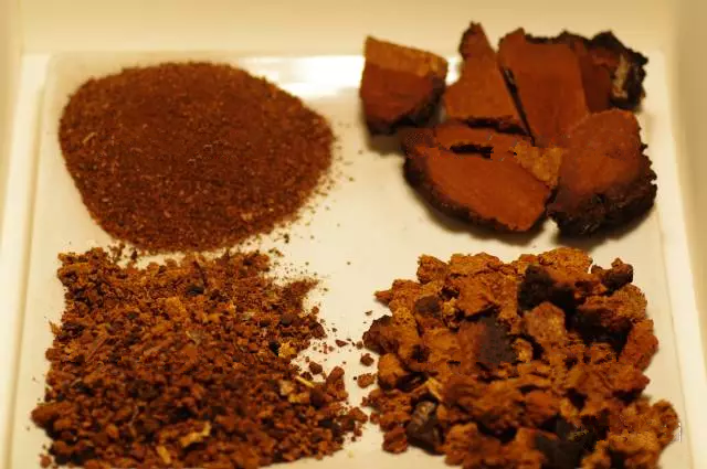 白桦茸的保存方法有哪些讲究？