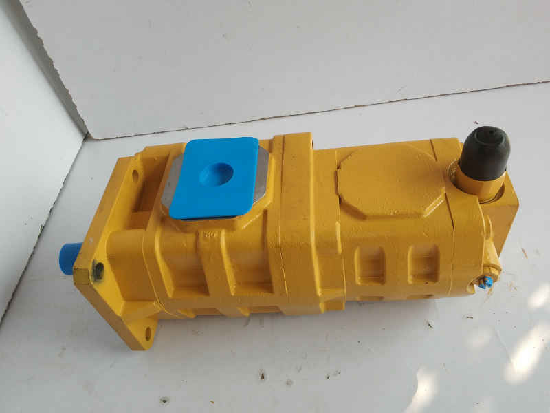 XG962 双联泵11C0004