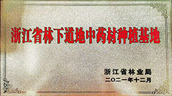 藥材種植基地