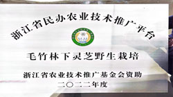 靈芝野生栽培
