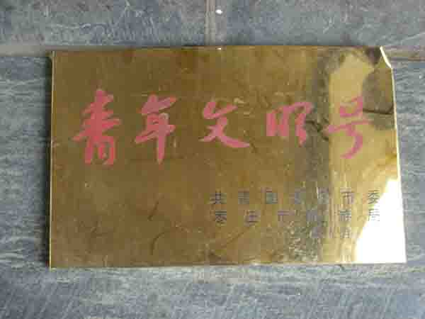 枣庄市青年文明号
