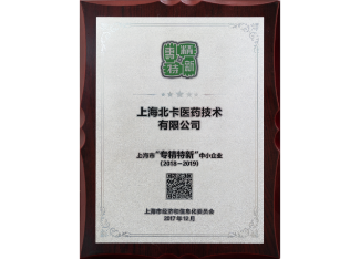 上海市专精特新中小企业