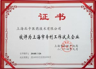 上海市专利工作试点企业