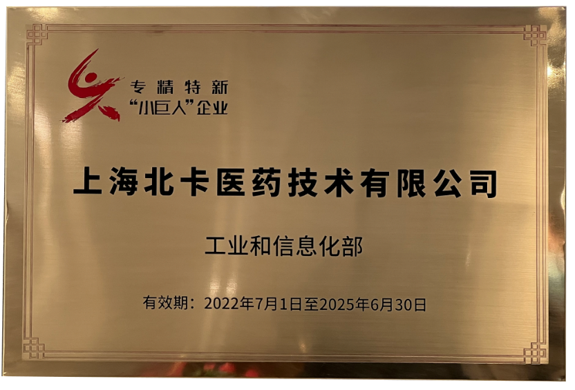 国家级专精特新小巨人企业