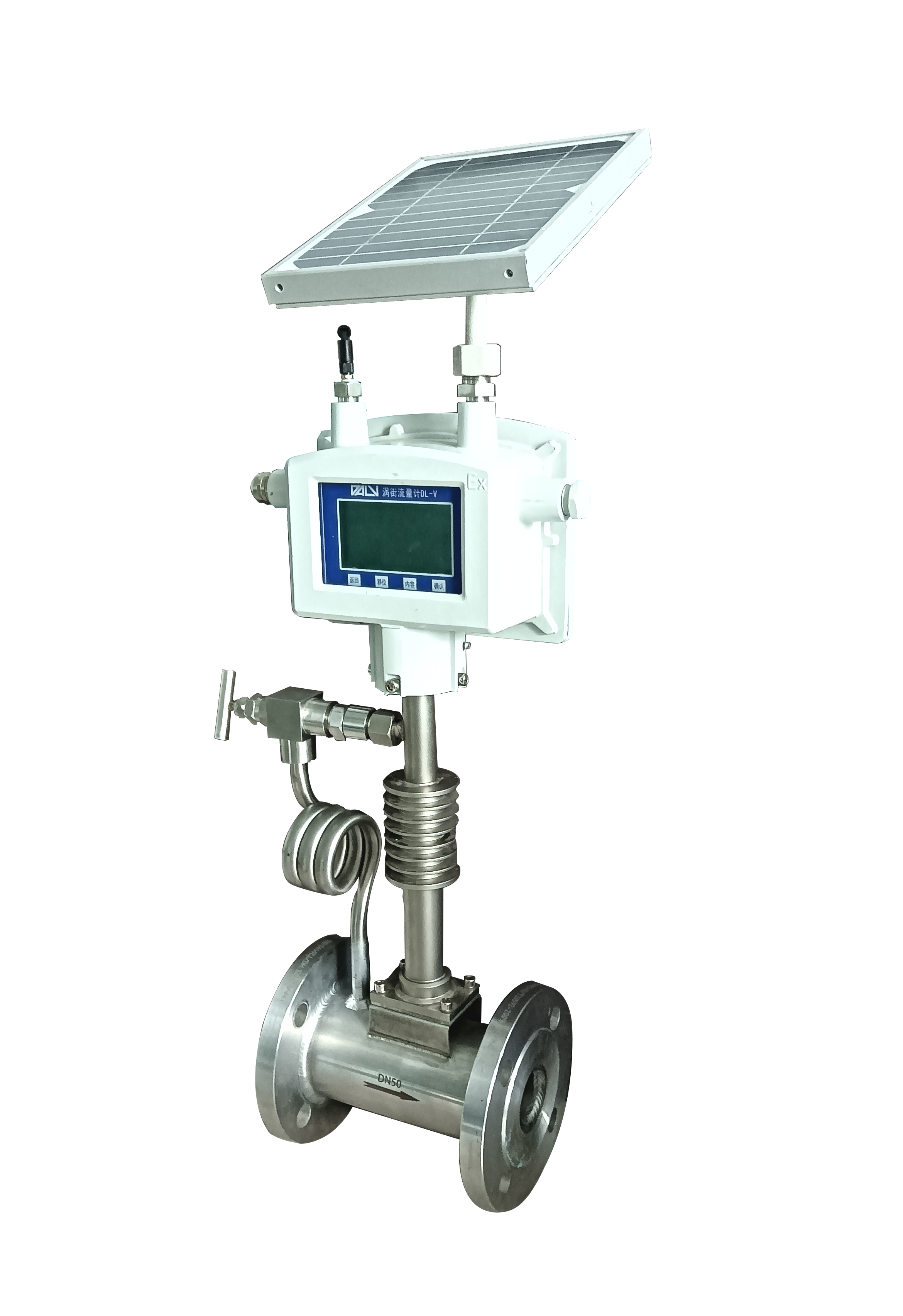 天然气流量计310NG