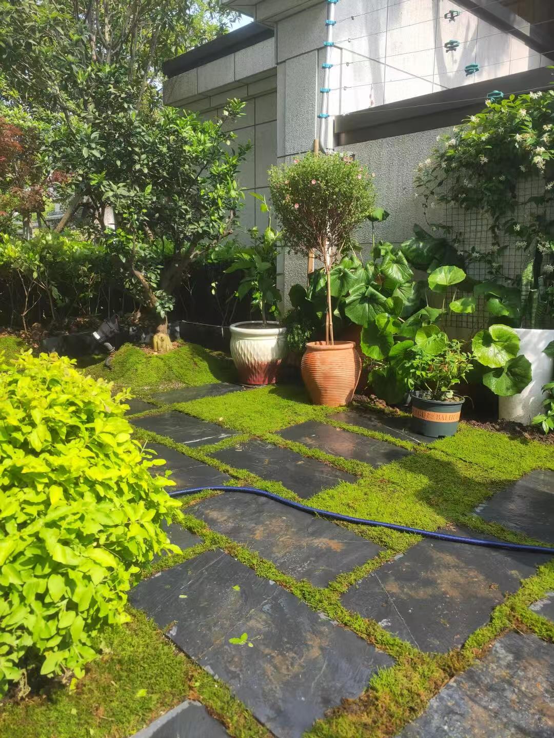 毛边踏步石/汀步石/菜园石/脚踏石