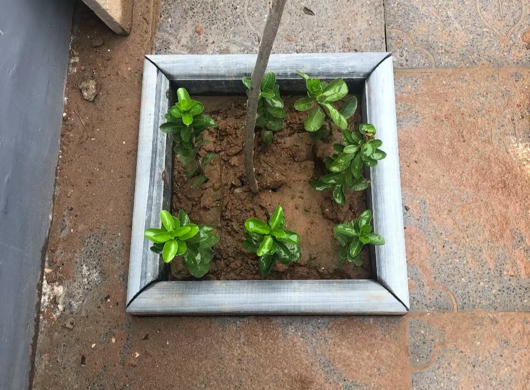 路沿石/路牙石/侧边石树池树围菜园石条路缘石