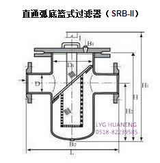 籃式過濾器外形圖