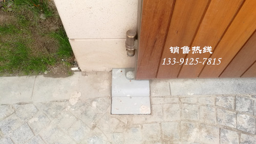 Nice地埋式平开门电机