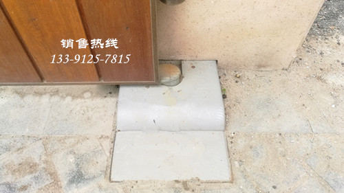 Nice地埋式平开门电机