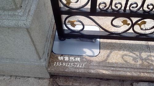 耐氏地埋电机