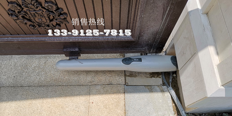 意大利耐氏直臂式开门机Wingo