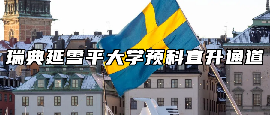 瑞典留学丨瑞典延雪平大学预科直升通道