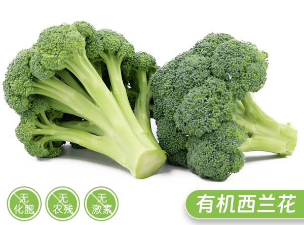 农家直采 做菜榨汁 生吃亦可 带皮新鲜