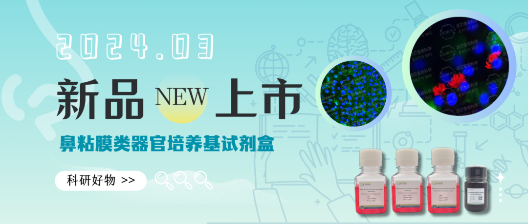 新品上市| 鼻粘膜类器官扩增及分化试剂盒来啦！