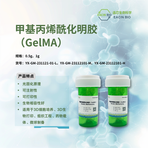 甲基丙烯酰化明胶  Gelatin Methacryloy（GelMA）