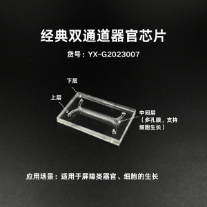 经典双通道器官芯片