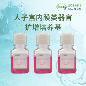 人子宫内膜类器官扩增培养基（Human Endometrium Organoid Amplification Medium ）