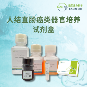 人结直肠癌类器官培养试剂盒（Human Colorectal Cancer Organoid Culture Medium Kit ）