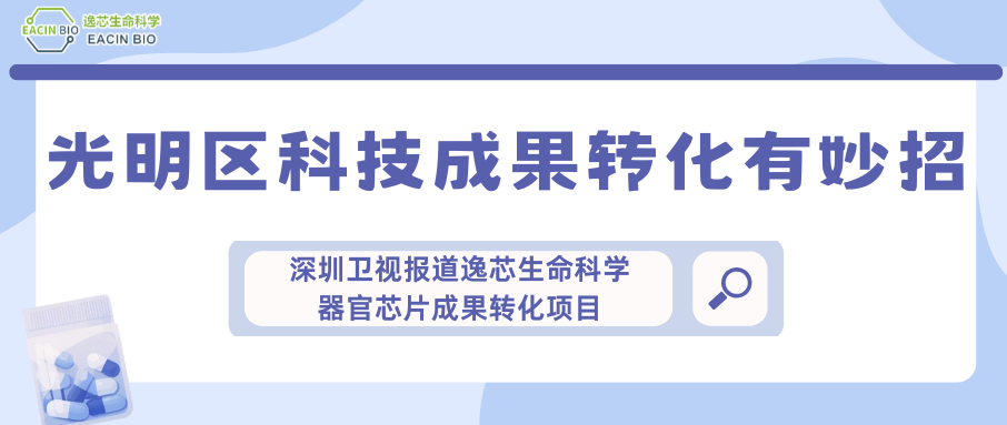 光明区科技成果转化有妙招-深圳卫视报道逸芯生命科学器官芯片成果转化项目