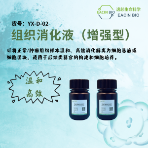 组织消化液（增强型）Tissue Digestion Solution (Enhanced)