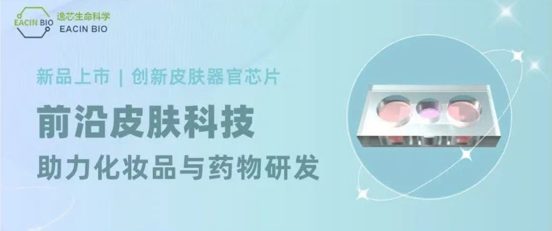 新品上市 | 创新皮肤器官芯片