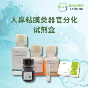 人鼻粘膜类器官培养分化试剂盒（Human Nasal Mucosal Organoid Culture Differentiation Kit ）