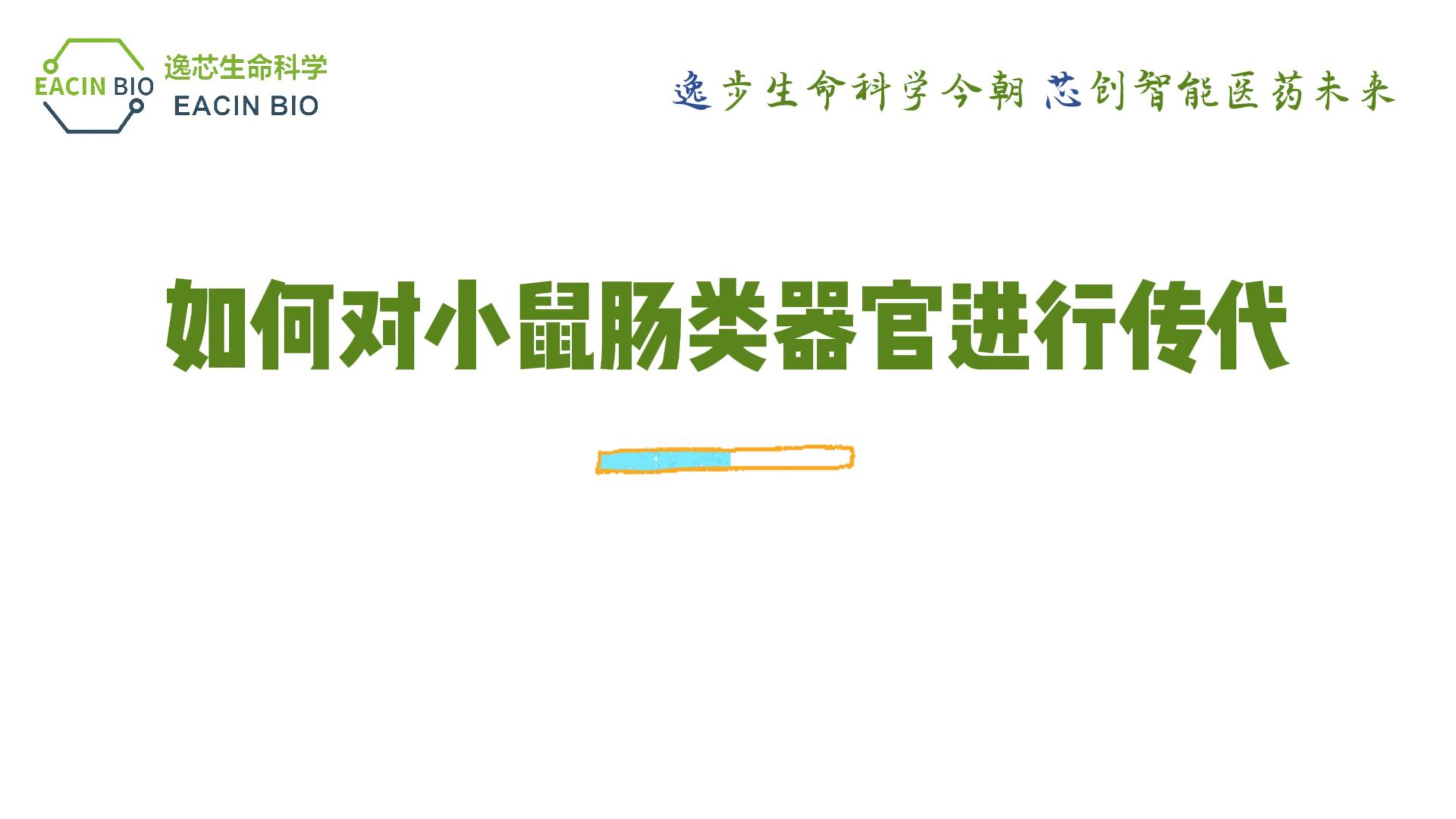 实验分享 | 小鼠肠类器官传代攻略