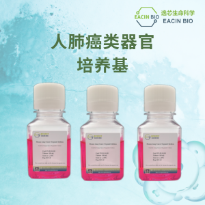 人肺癌类器官培养基 （Human Lung Cancer Organoid Medium）