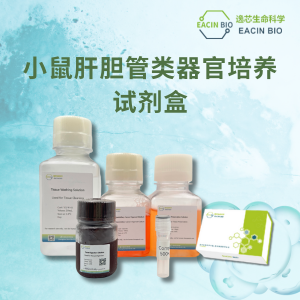 小鼠肝胆管类器官培养试剂盒（Mouse Liver Organoid Culture Medium Kit ）