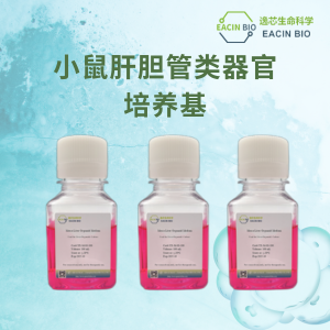 小鼠肝胆管类器官培养基（Mouse Liver Organoid Medium ）