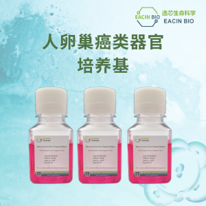 人卵巢癌类器官培养基（ Human Ovarian Cancer Organoid Medium ）