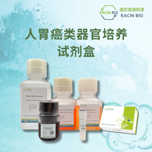 人胃癌类器官培养试剂盒（Human Gastric Cancer Organoid Culture Medium Kit ）