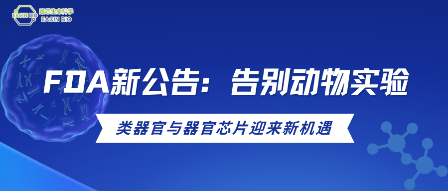 重大变革！ FDA计划逐步取消动物实验，药物评价进入类器官“芯”时代