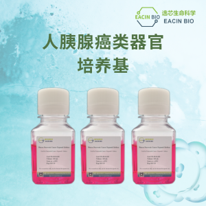 人胰腺癌类器官培养基（Human Pancreatic Cancer Organoid Medium ）