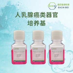 人乳腺癌类器官培养基（Human Breast Cancer Organoid Medium ）