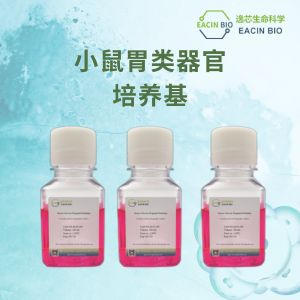 小鼠胃类器官培养基（Mouse Gastric Organoid Medium ）