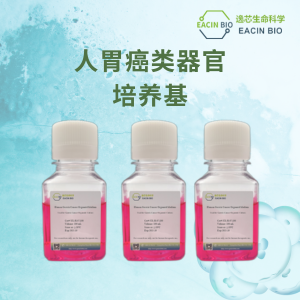 人胃癌类器官培养基（Human Gastric Cancer Organoid Medium ）