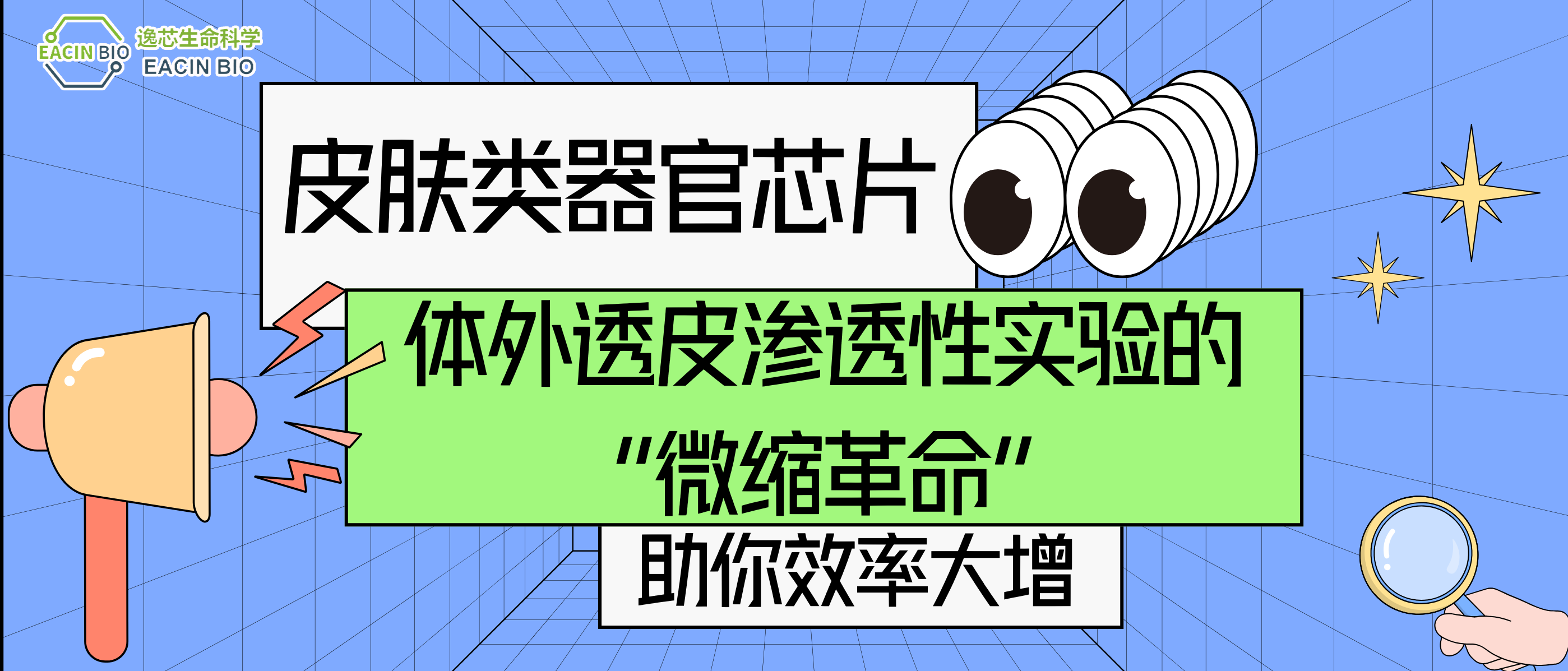 皮肤类器官芯片：体外透皮渗透性实验的“微缩革命”
