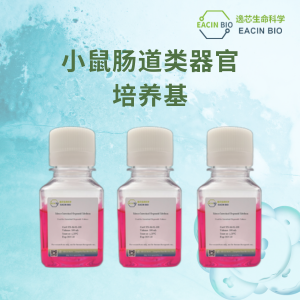 小鼠肠道类器官培养基（Mouse Intestinal Organoid Medium ）