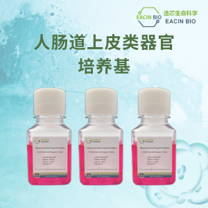 人肠道上皮类器官培养基（Human Intestinal Organoid Medium ）