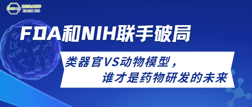 FDA和NIH联手破局：类器官VS动物模型，谁才是药物研发的未来？