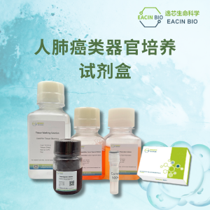 人肺癌类器官培养试剂盒（Human Lung Cancer Organoid Medium Kit）