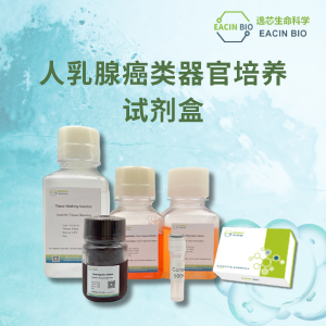 人乳腺癌类器官培养基培养试剂盒（Human Breast Cancer Organoid Culture Medium Kit）