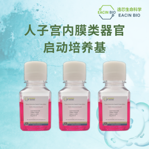 人子宫内膜类器官启动培养基（Human Endometrium Organoid Priming Medium ）
