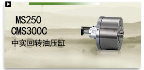 MS250C/MS300C 中實迴轉油壓缸（含逆止閥、檢知裝置）