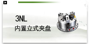 3NL内置立式夹盘