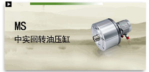 MS 中實迴轉油壓缸（含逆止閥）